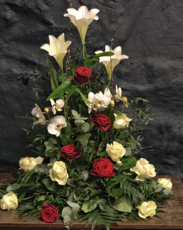 Klassisk elegans