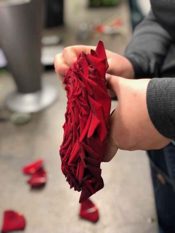 Röd blomma i hand