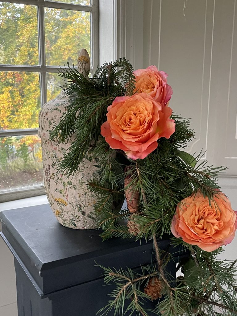 Skogsglänta - Image 2