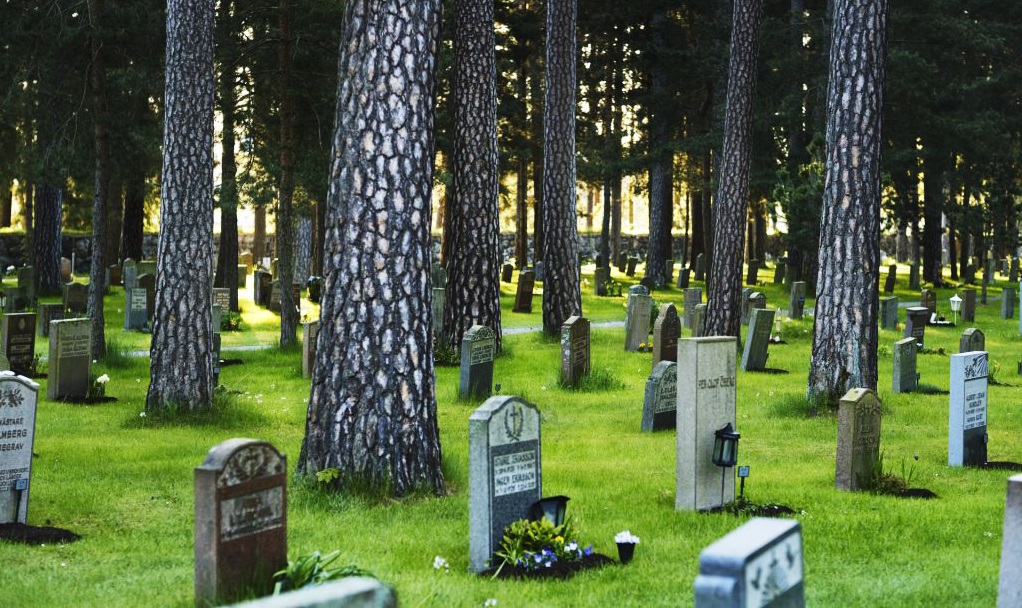 Gravstenar och träd på kyrkogård