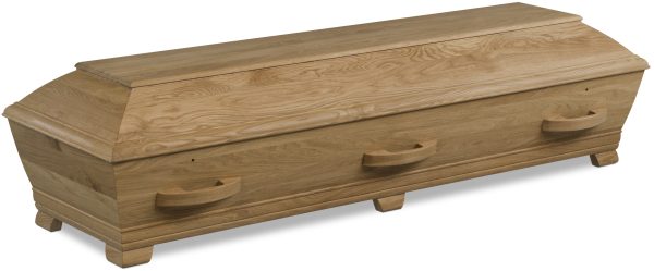 Kontur, kista oljad ek