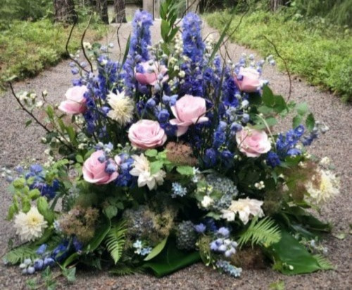 Fjärilsmärkta blommor