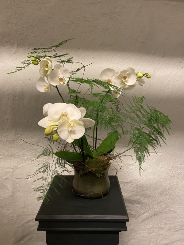 Orkidélyx, hög dekoration
