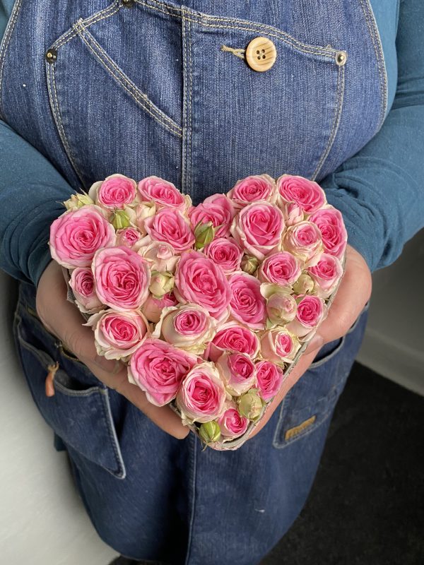 Lilla hjärtat rosa