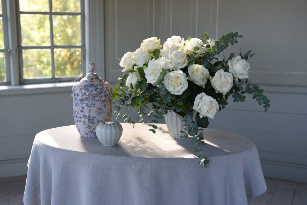 Paradis havre - Image 2