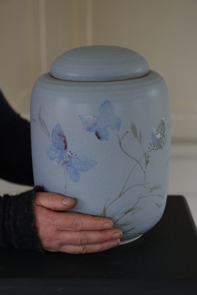 Paradis Blå fjäril - Image 3