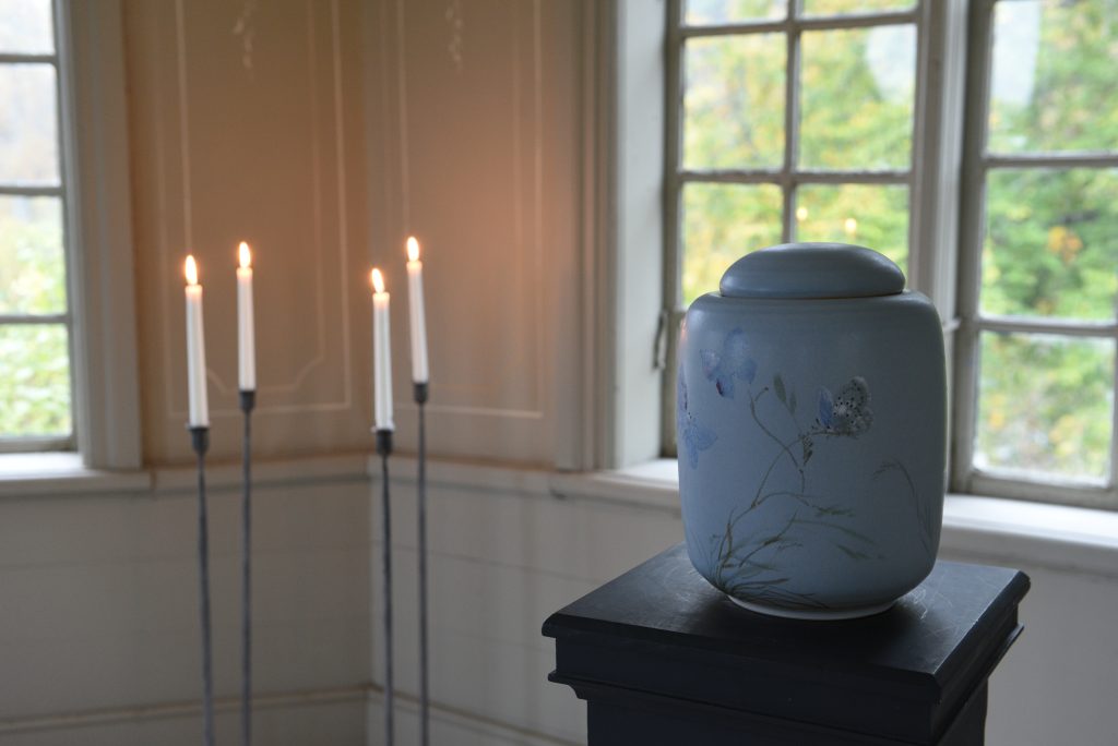 Paradis Blå fjäril - Image 4