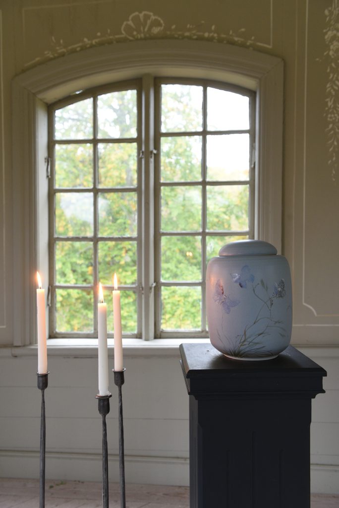 Paradis Blå fjäril - Image 5