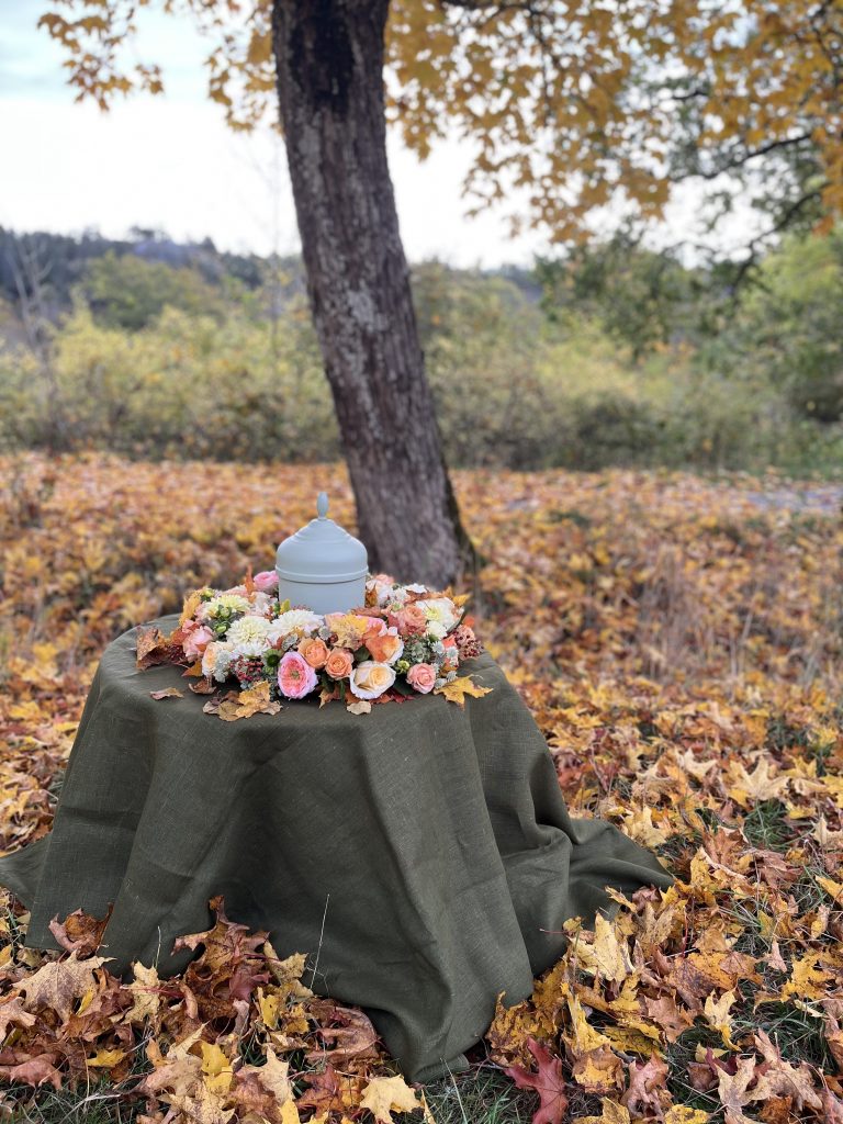 Årstidens vackraste höst - Image 3